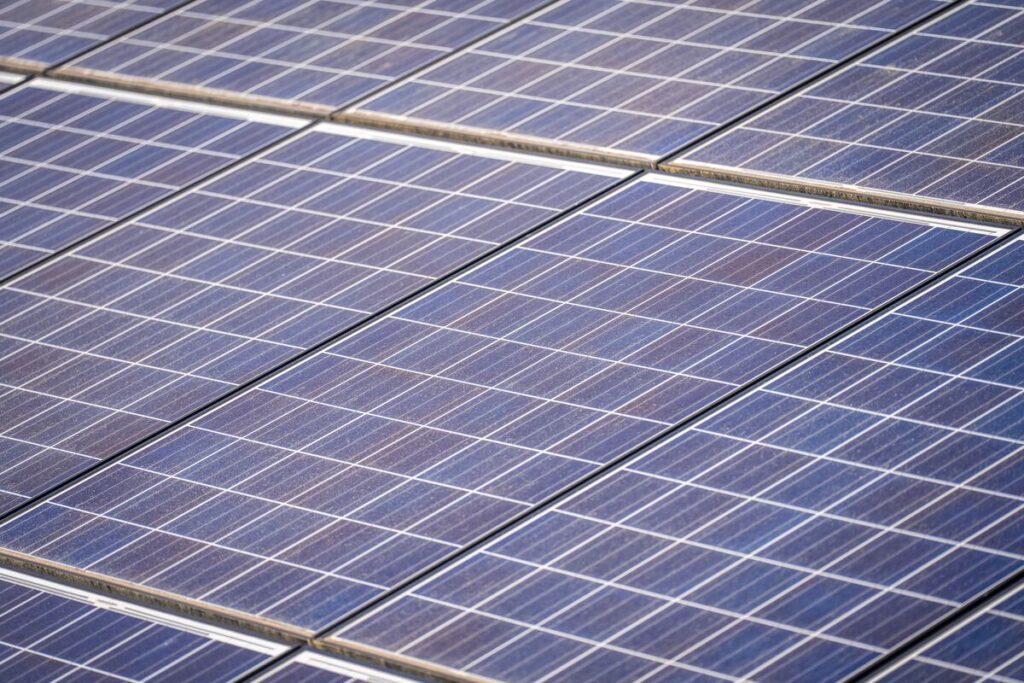 Environmental Management System (EMS) Meaning: What Is ISO 14001?